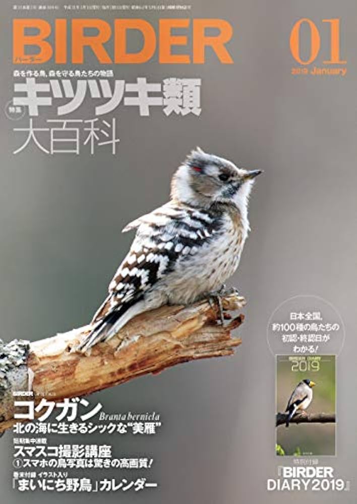 BIRDER (バ ーダ ー) 2006年02月号 BIRDER (バ ーダ ー) 2006年02月号 BIRDER (バ ーダ ー) 2006年02月号